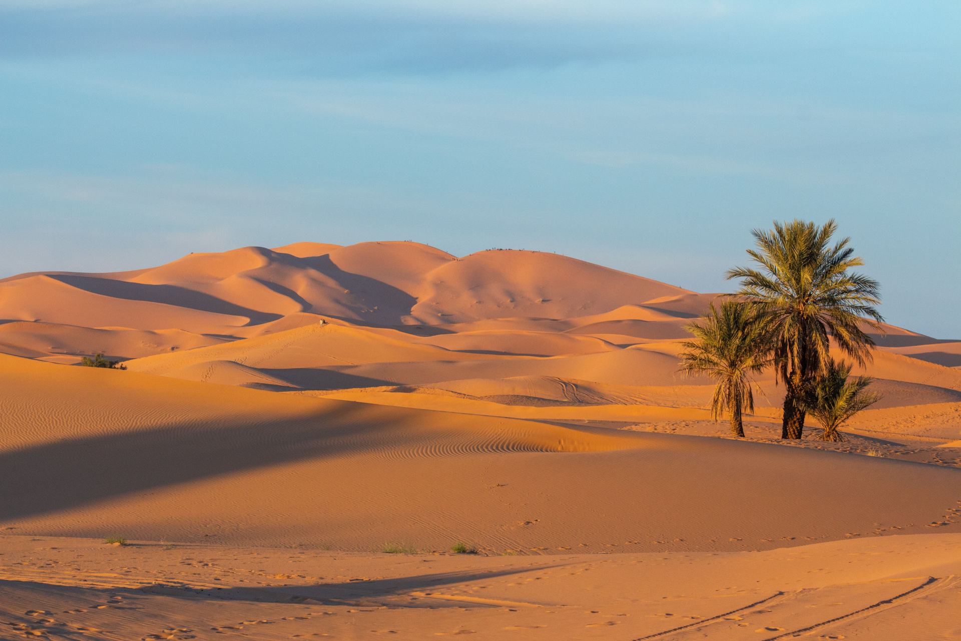 3 Days Tour from Marrakech to Merzouga Desert