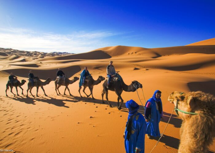 11 days tour from Casablanca
