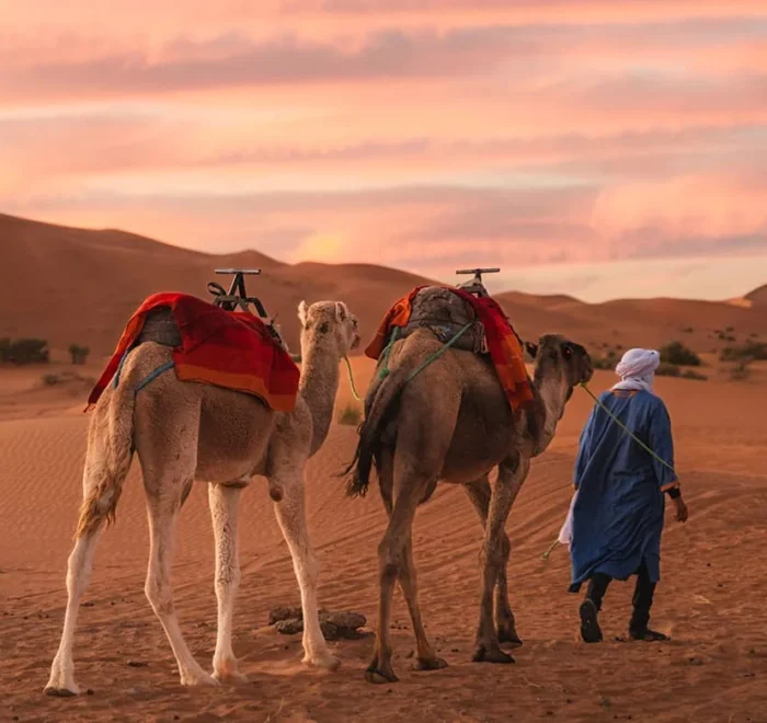 15 DAYS Tour from Casablanca to Marrakech