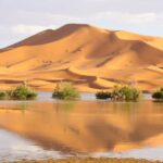 4 days Tour from Marrakech to Fes