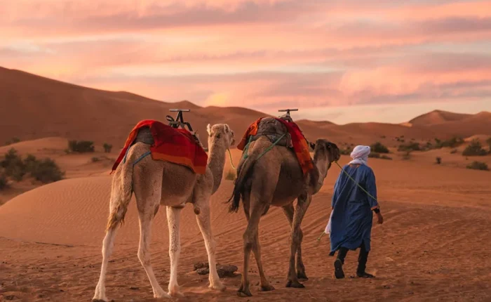 15 DAYS Tour from Casablanca to Marrakech