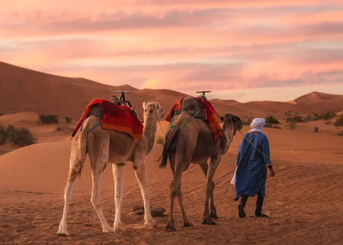 15 DAYS Tour from Casablanca to Marrakech