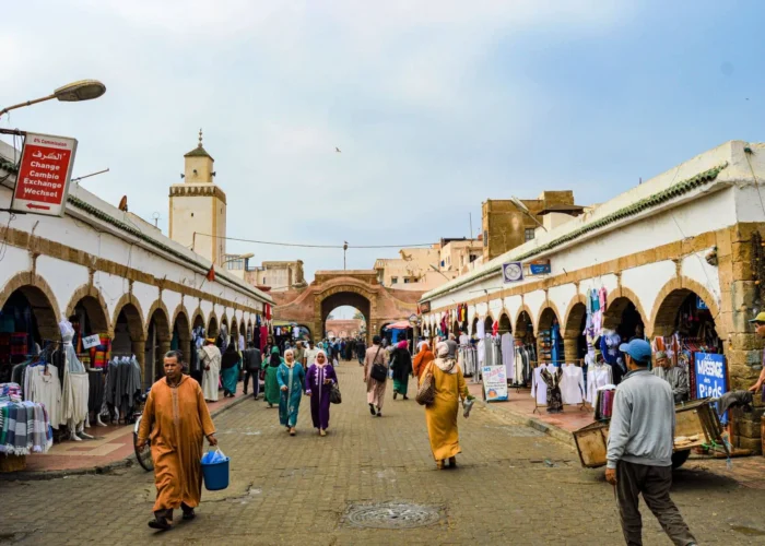 Day trip from Marrakech to Essaouira